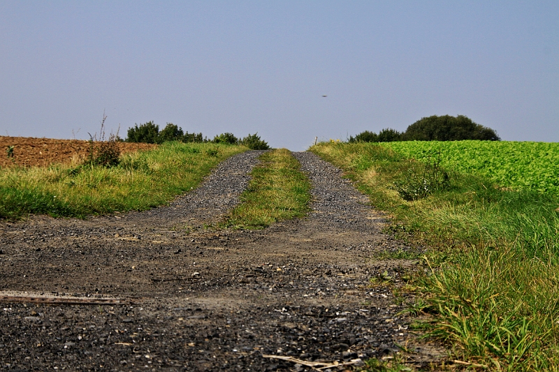 Feldweg zum Regenüberlaufbecken an der Körne.JPG - Feldweg zum Regenüberlaufbecken an der Körne